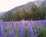 2007_0108_028.jpg