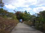 唐招提寺から薬師寺へ2010年11月奈良 059.jpg