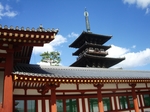 薬師寺2010年11月奈良 071.jpg