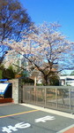 201104060742000.jpg