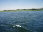 IMGP0679.jpg