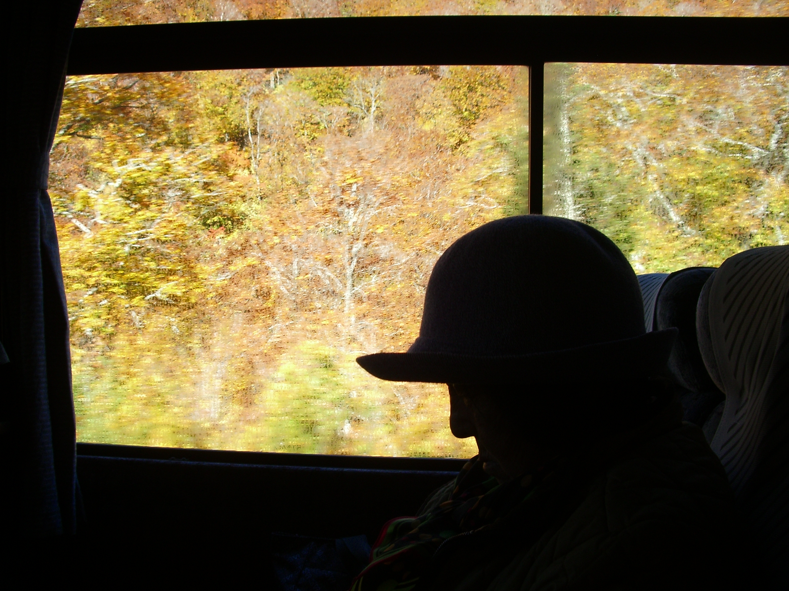 紅葉のシルエット 路線バス 八幡平から田沢湖行き の車窓 旅行と本